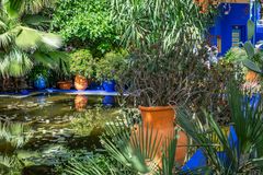 Jardin Majorelle XX - Marrakesch/Marokko