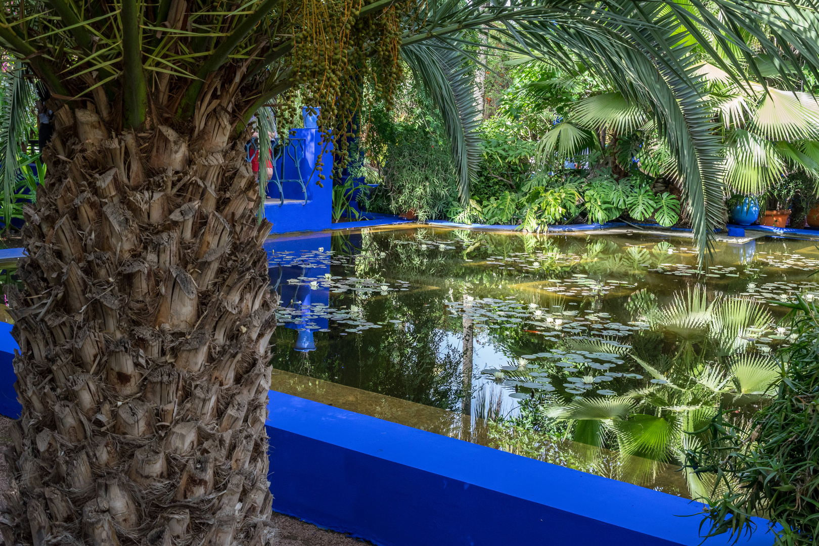 Jardin Majorelle XXI - Marrakesch/Marokko