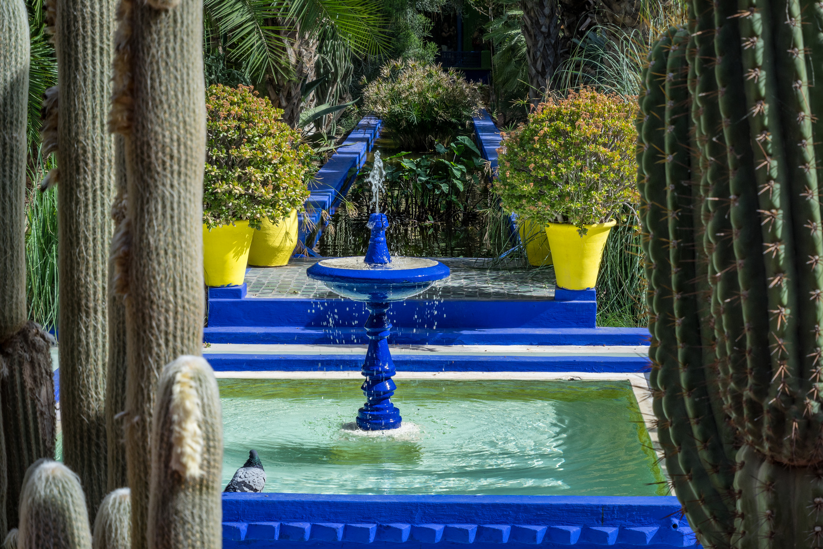 Jardin Majorelle XXII - Marrakesch/Marokko