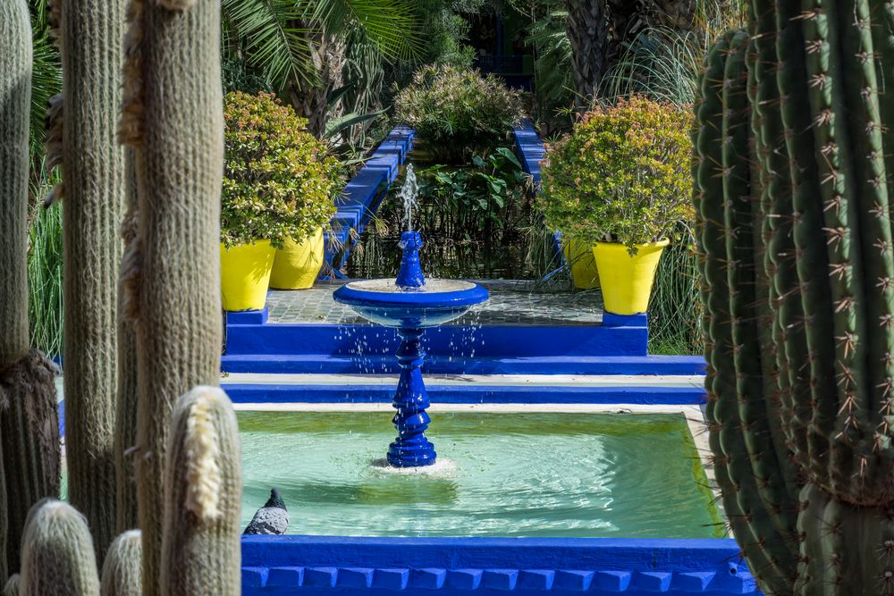Jardin Majorelle XXII Marrakesch/Marokko Foto &amp; Bild