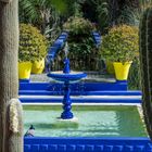 Jardin Majorelle XXII - Marrakesch/Marokko