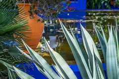 Jardin Majorelle XXIII - Marrakesch/Marokko