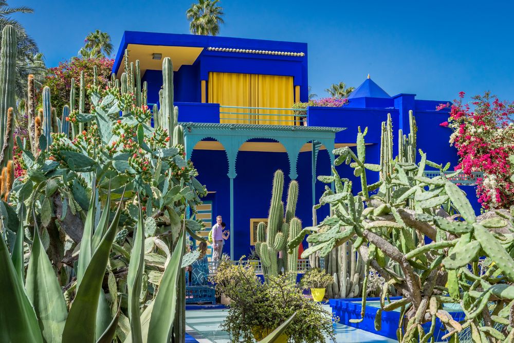 Jardin Majorelle XXIV Marrakesch/Marokko Foto & Bild