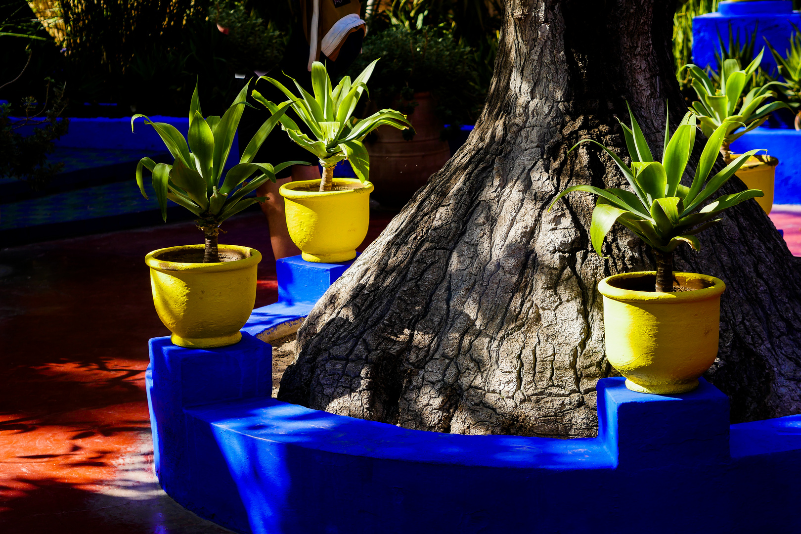 jardin majorelle yves saint laurent