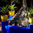 jardin majorelle yves saint laurent