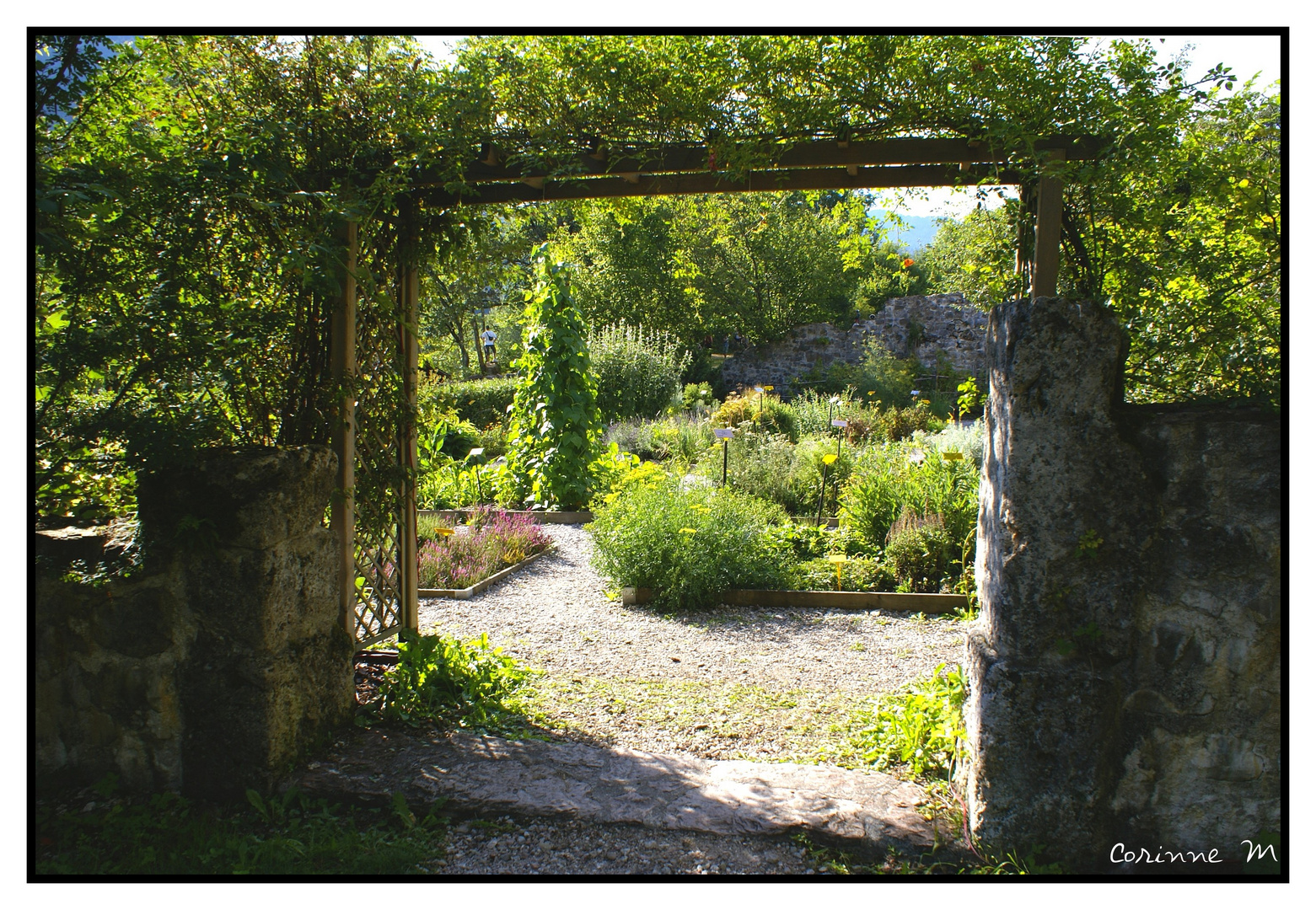 Jardin médiéval d'aujourd'hui