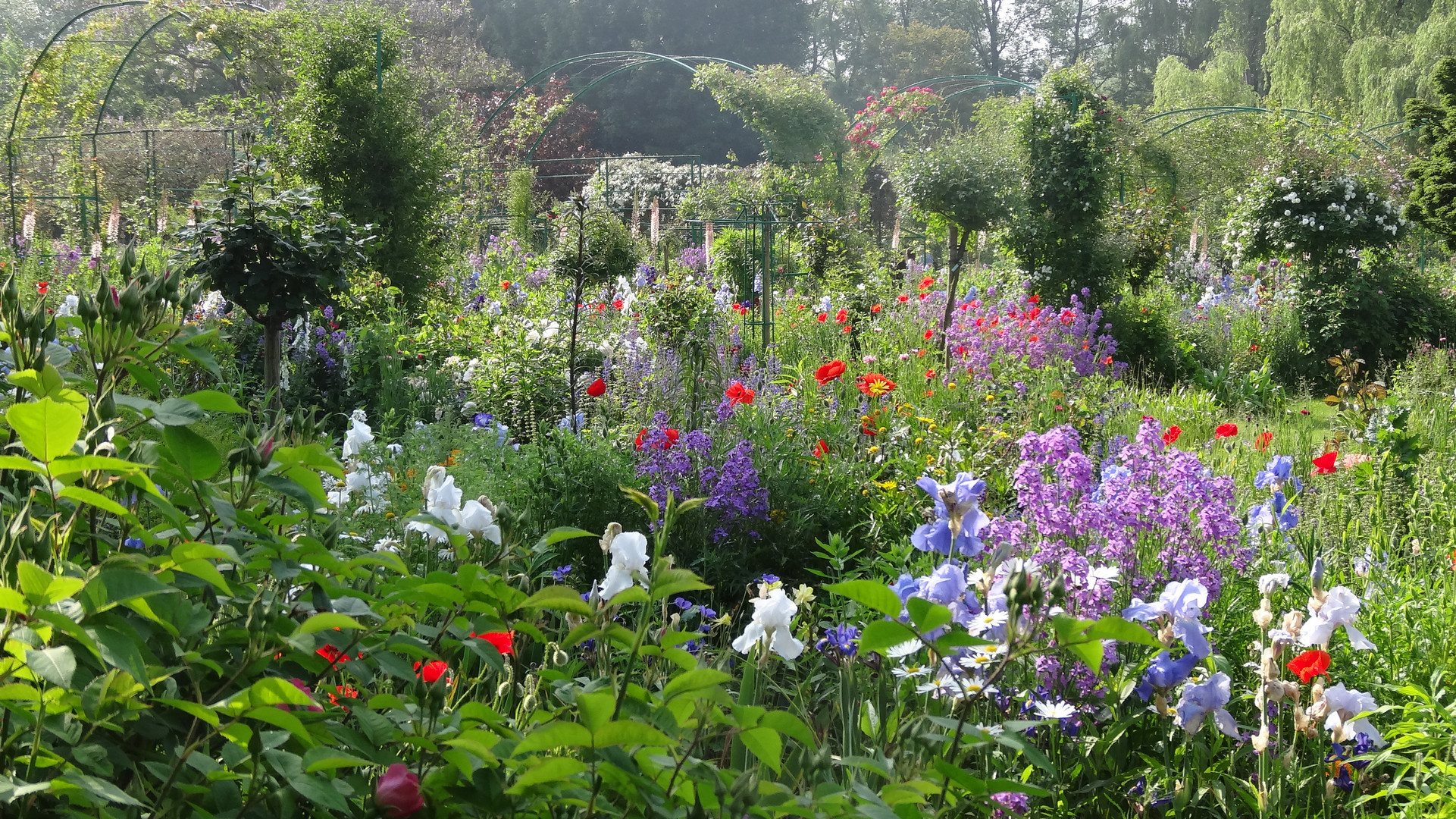 Jardin Monet, France