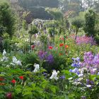 Jardin Monet, France