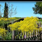 JARDIN - PANORAMIQUE