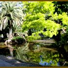 Jardin public à Melbourne, Australie