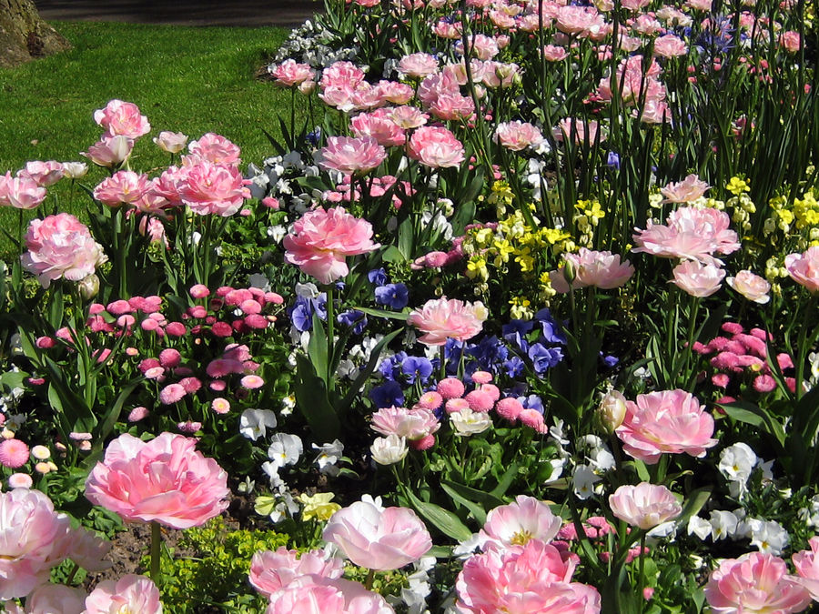 Jardin public au Havre