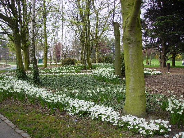 jardin public de grande-synthe au printemps