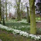 jardin public de grande-synthe au printemps