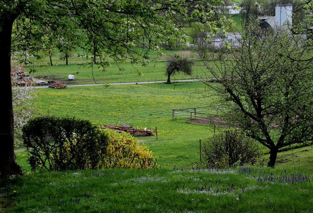 Jardin sans Oiseaux