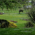 Jardin sans Oiseaux