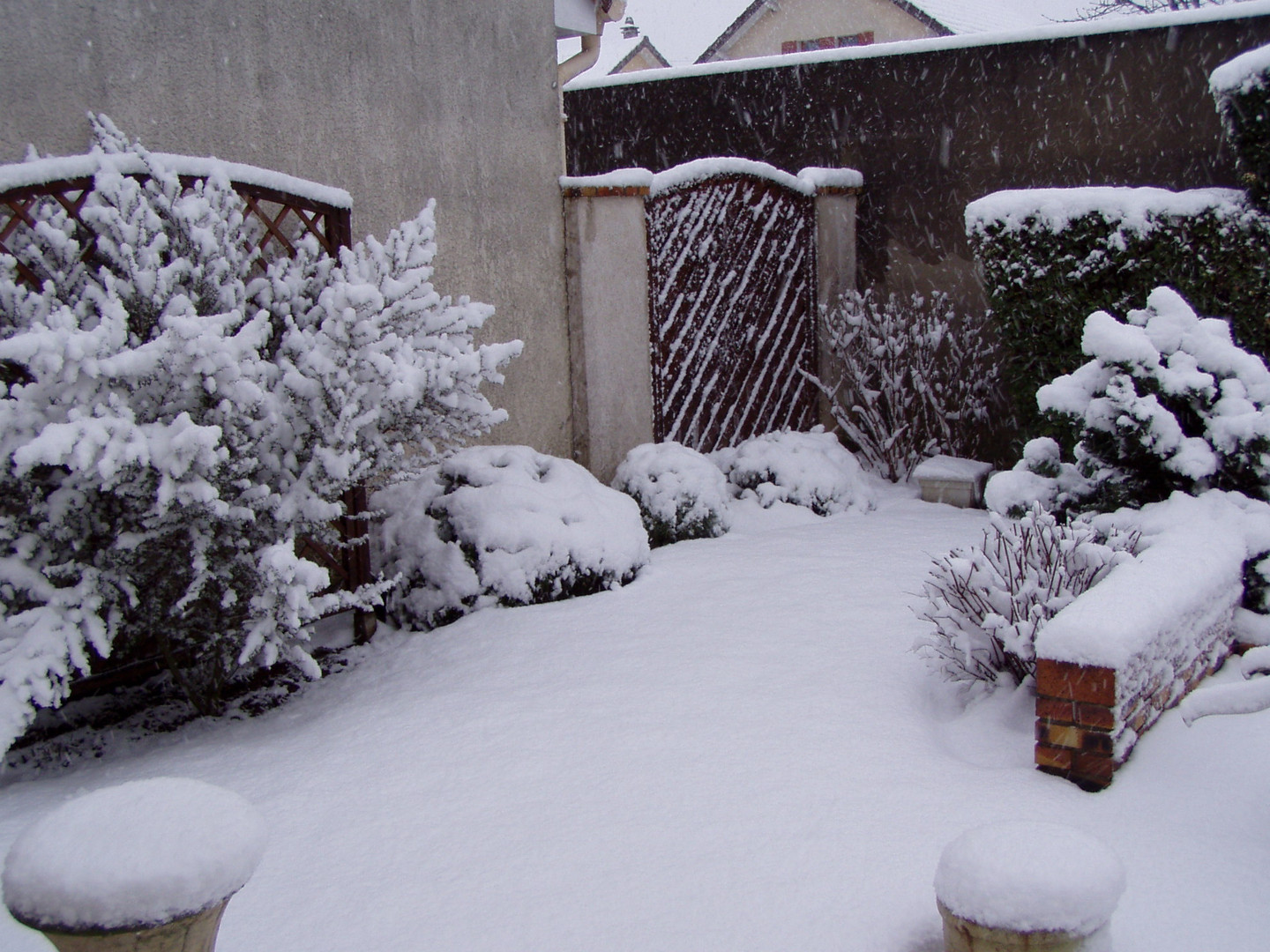 Jardin sous la neige 2