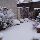 Jardin sous la neige 2