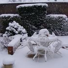 jardin sous la neige 20013