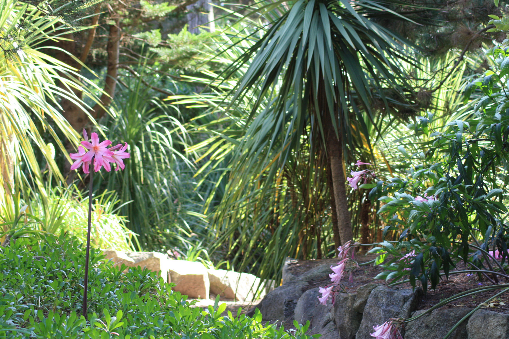 JARDIN SUR L'ILE DE BATZ