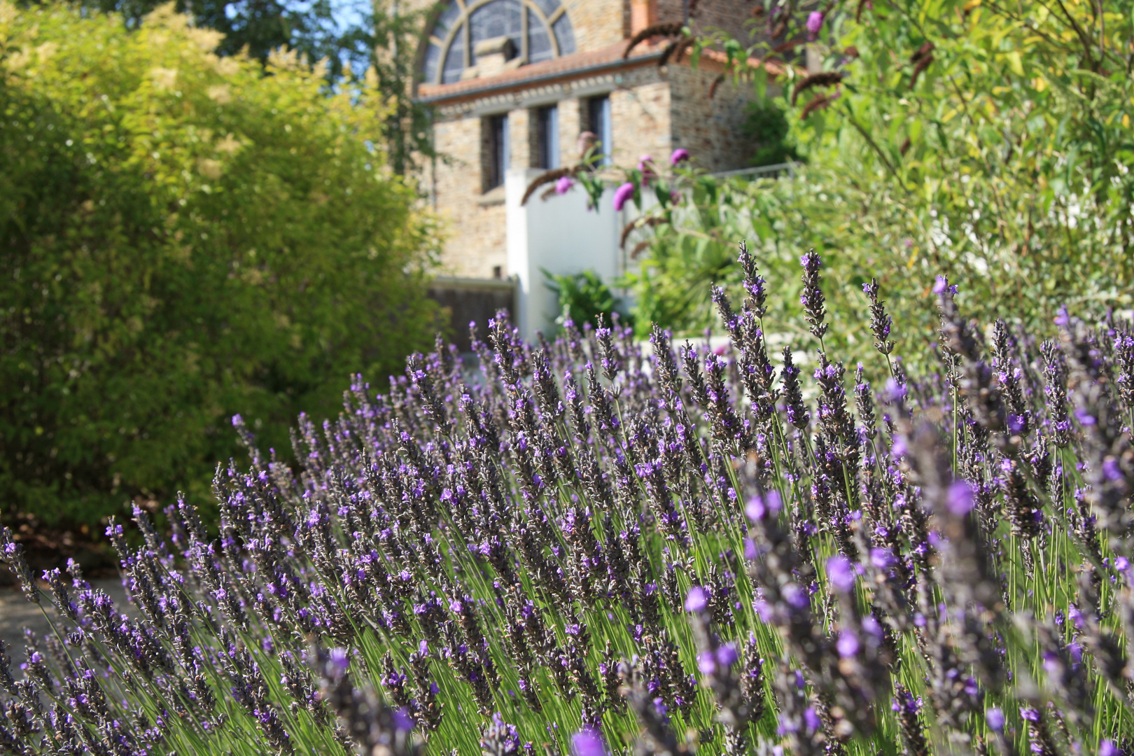 Jardin Vendée Eté 2009