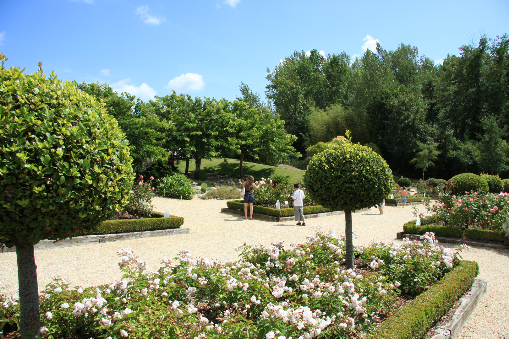 Jardin Vendée été 2009