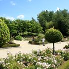 Jardin Vendée été 2009