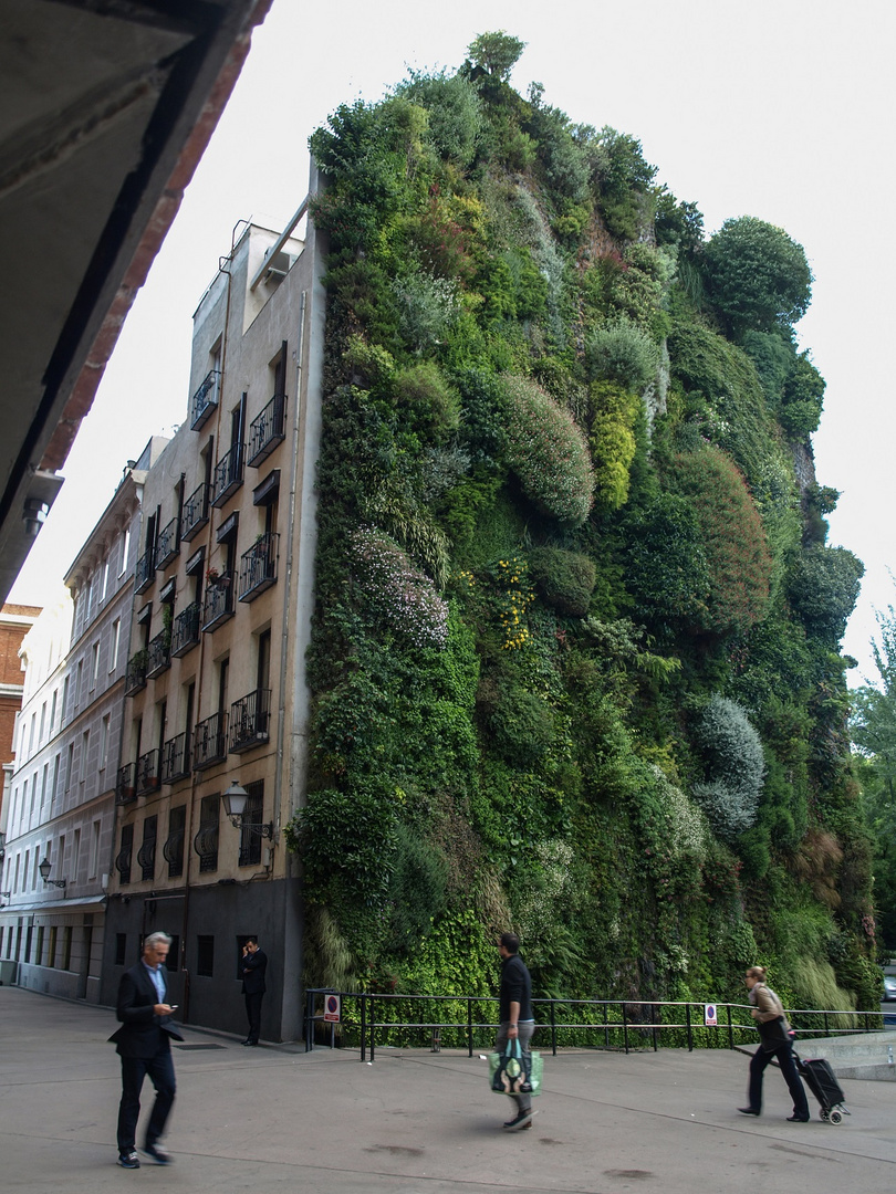 Jardín Vertical