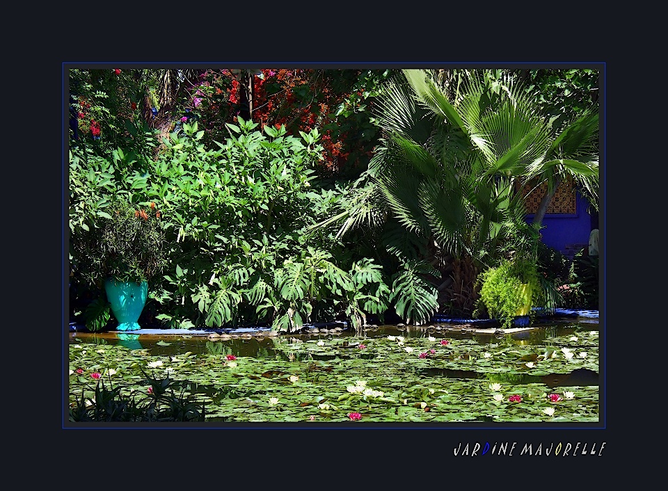 Jardine Majorelle #4