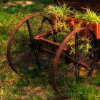 Jardinera con ruedas