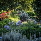 Jardinera en su jardín