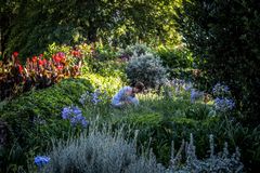 Jardinera en su jardín