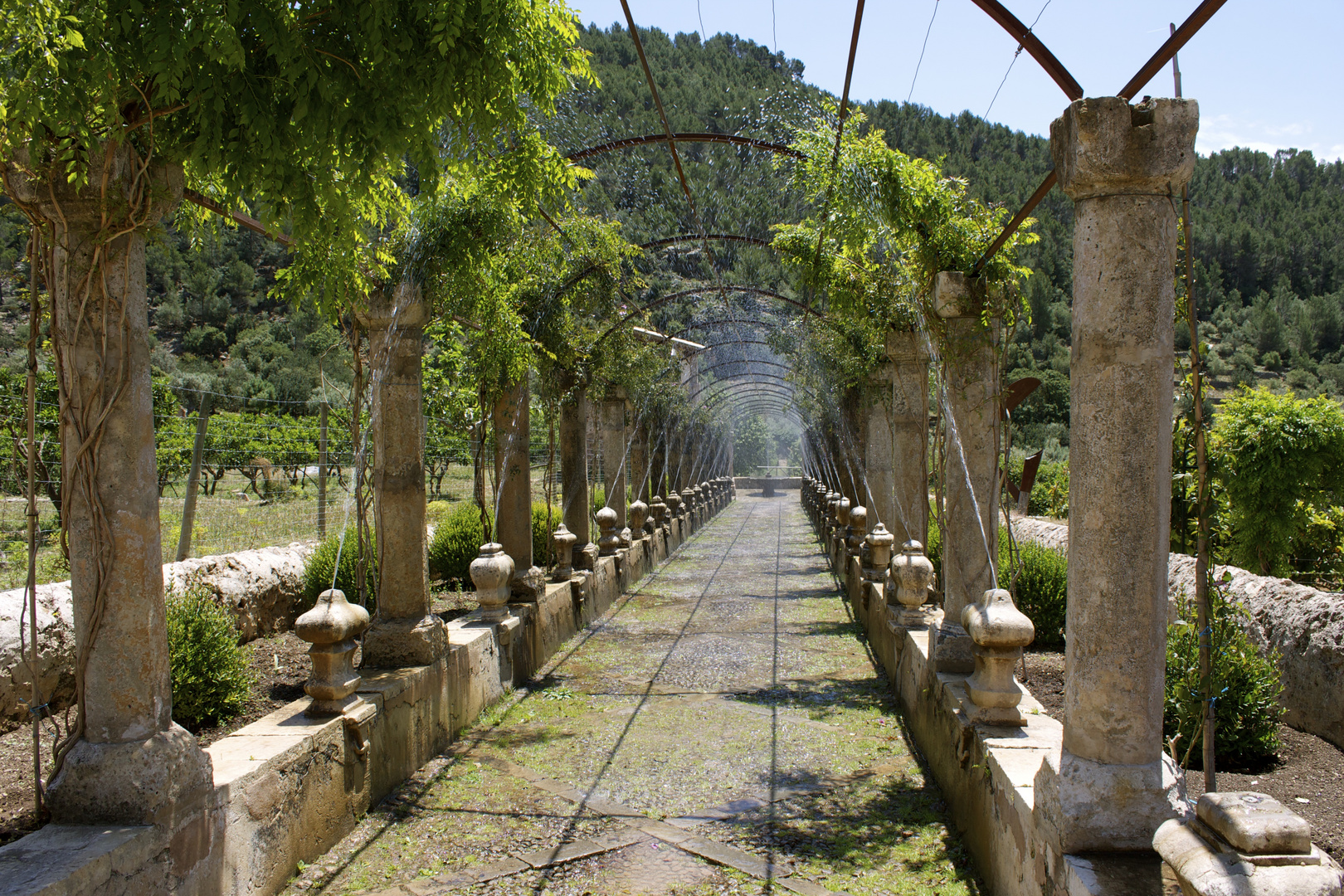 Jardines de Alfabia