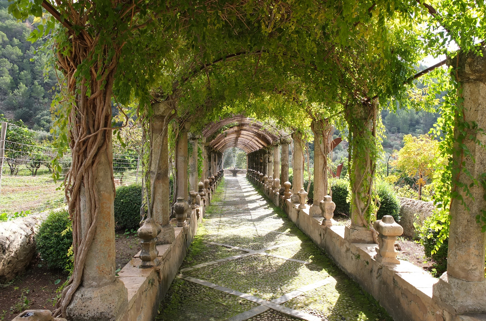 Jardines de Alfabia