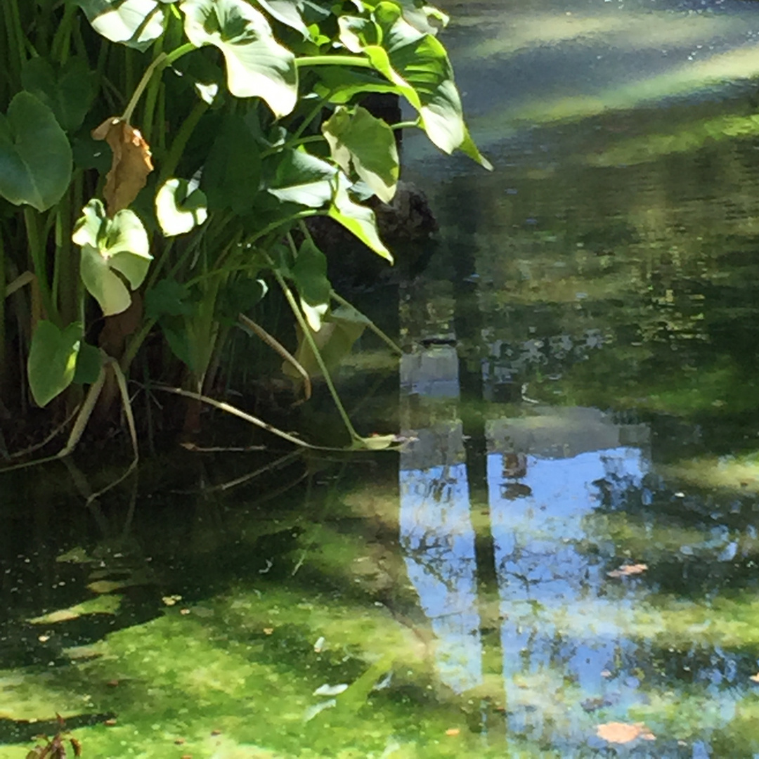 Jardines de Córdoba