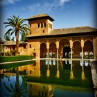 Jardines de la alhambra, Granada