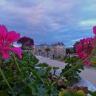 Jardines de Luxemburgos