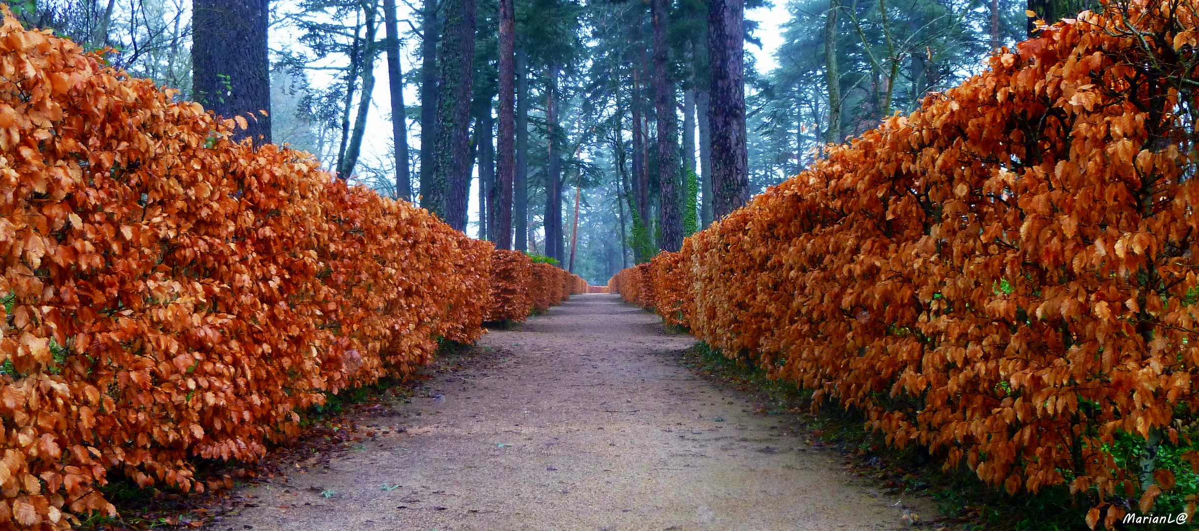 Jardines de San Ildefonso-Segovia