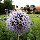 Jardines de Wawel