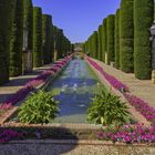 JARDINES DEL ALCAZAR DE CÓRDOBA