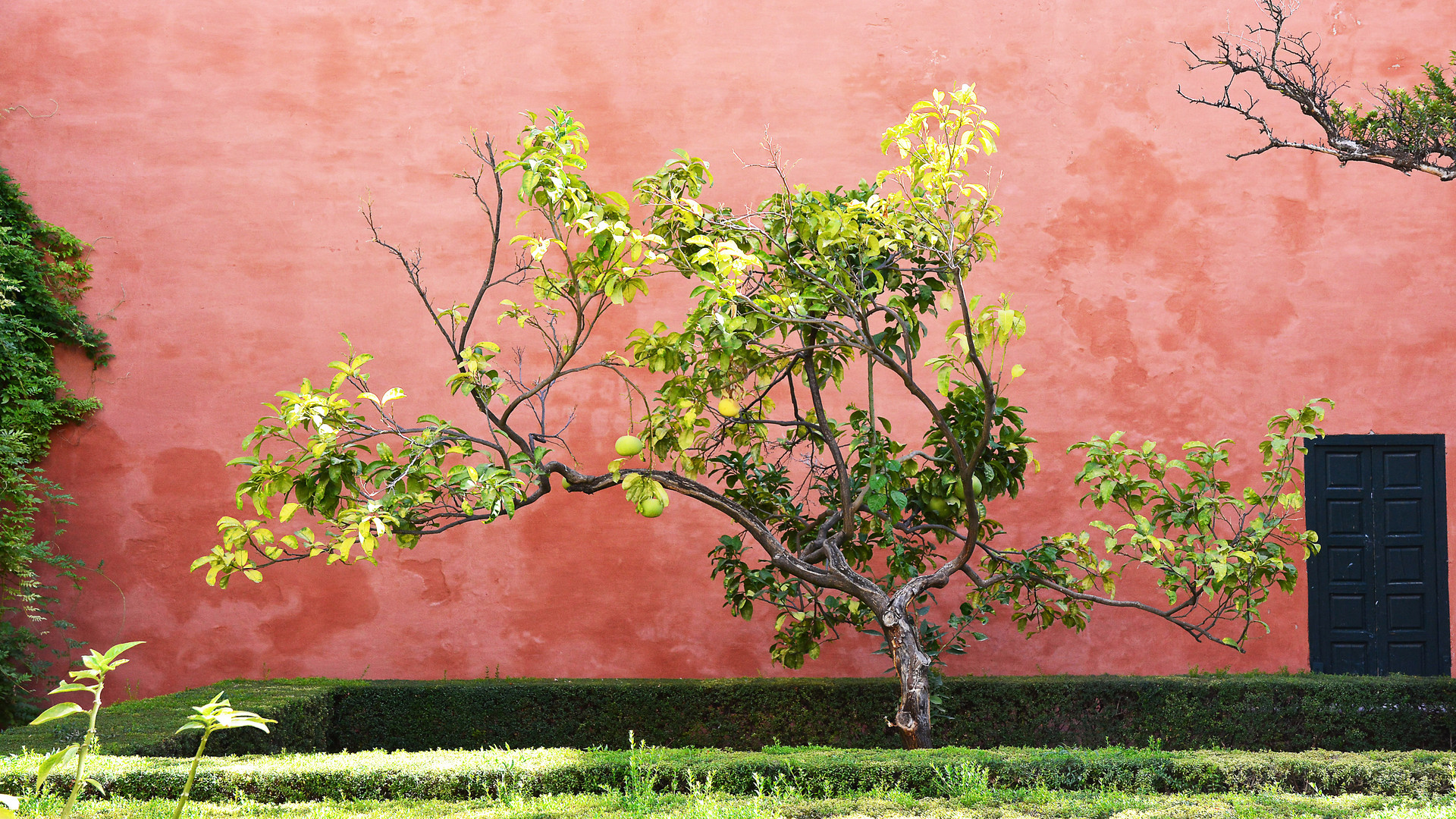 Jardines del Alcazar, Sevilla, 