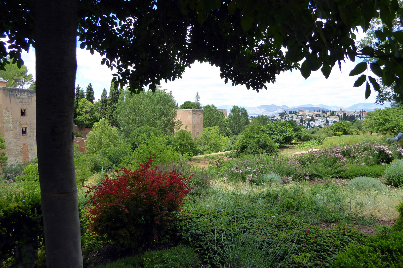 Jardines del Generalife