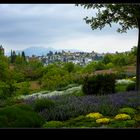 Jardines del Generalife