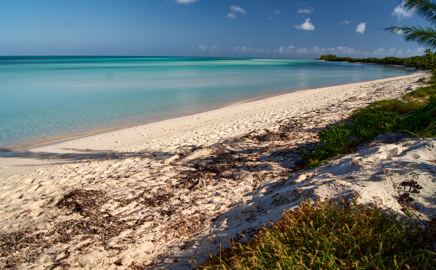 jardines del rey-2