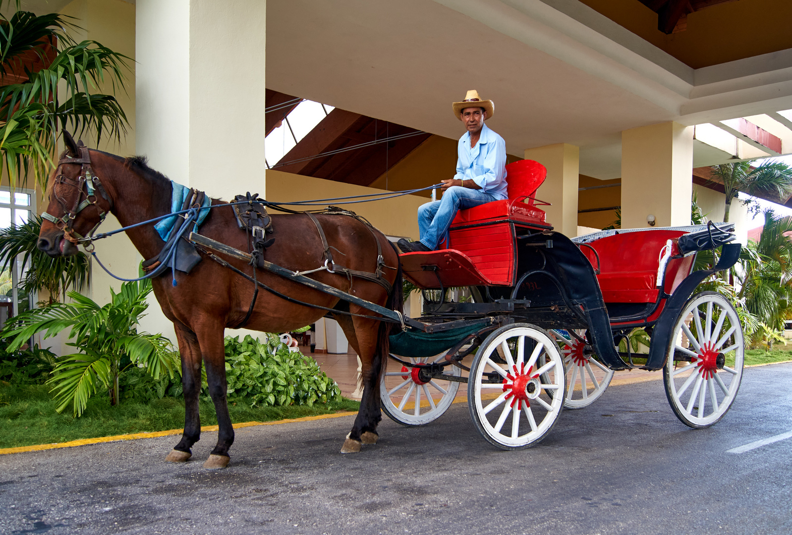 jardines del rey - taxi