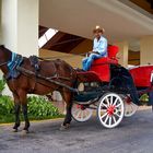 jardines del rey - taxi