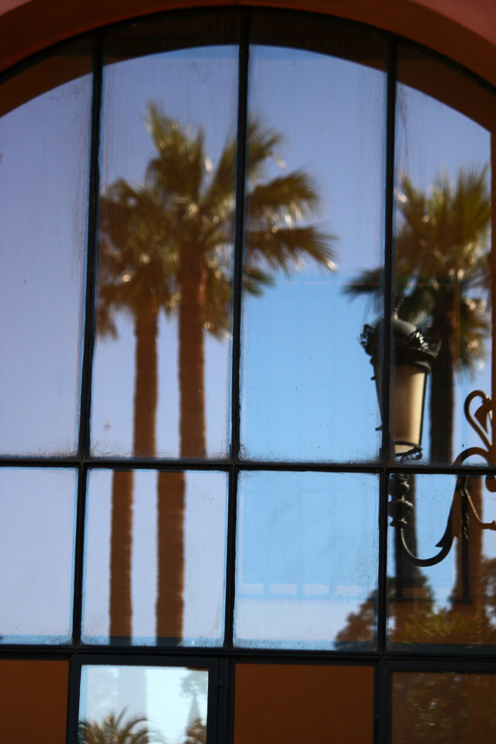 jardines desde la ventana o ventana desde los jardines