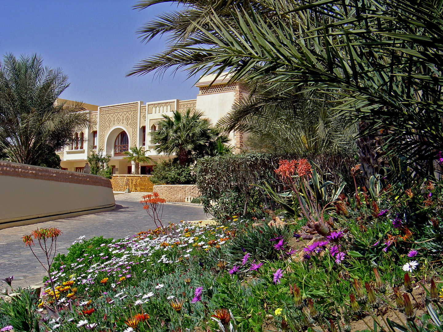 Jardins à la porte du désert tunisien