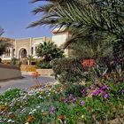Jardins à la porte du désert tunisien
