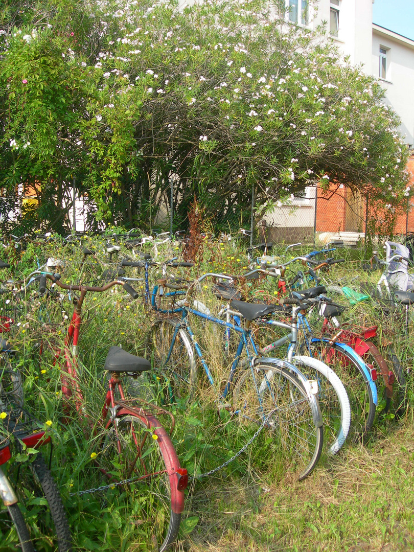 Jardins à vélos ...