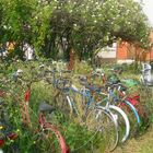 Jardins à vélos ...